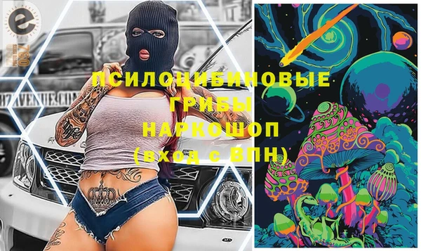 шишки Абдулино