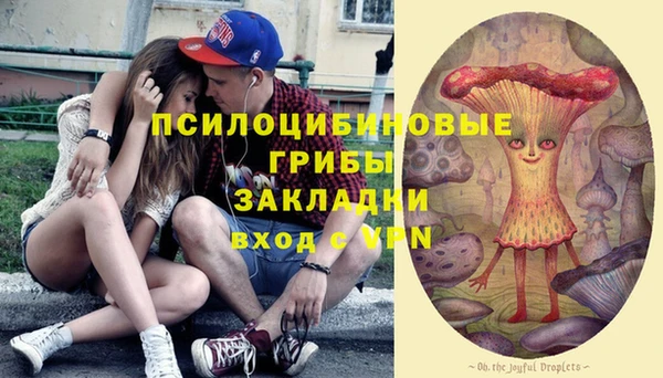 шишки Абдулино