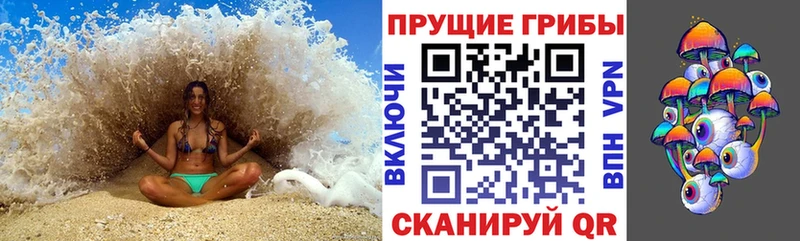 даркнет сайт  Судогда  Галлюциногенные грибы ЛСД 